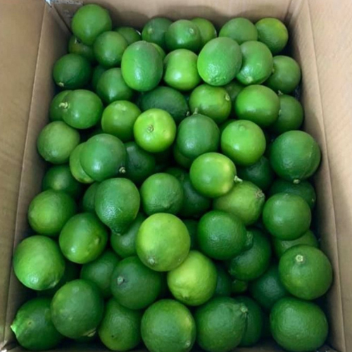 Fresh Lemon