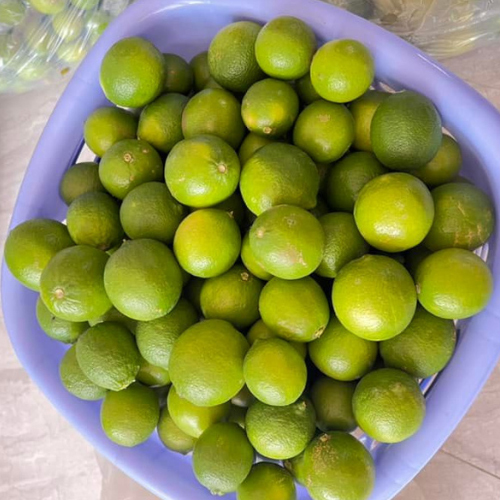 Fresh Lemon - Color: Green