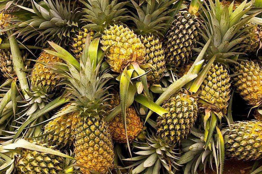 Fresh Pineapple - Color: Yellow