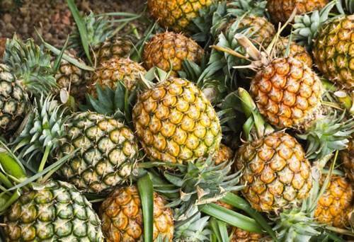 Fresh Pineapple - Color: Yellow