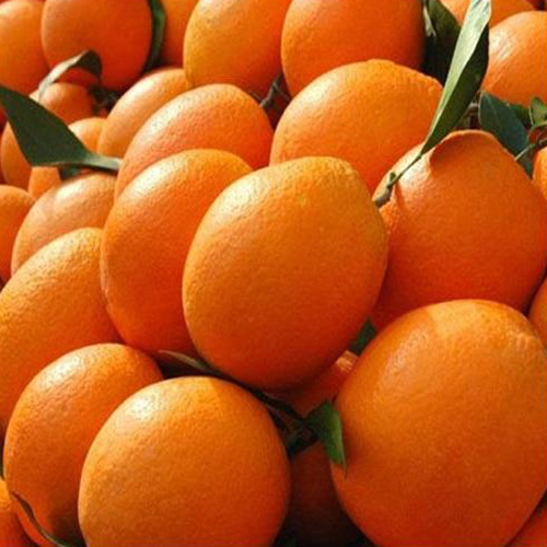 Fresh Orange - Origin: India