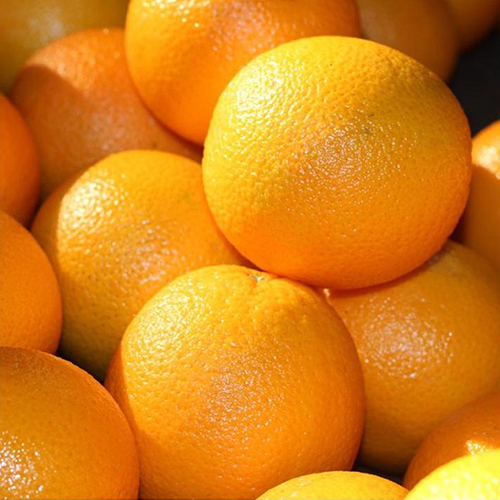 Fresh Orange - Origin: India