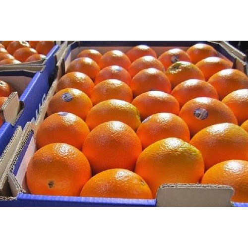Fresh Orange - Origin: India