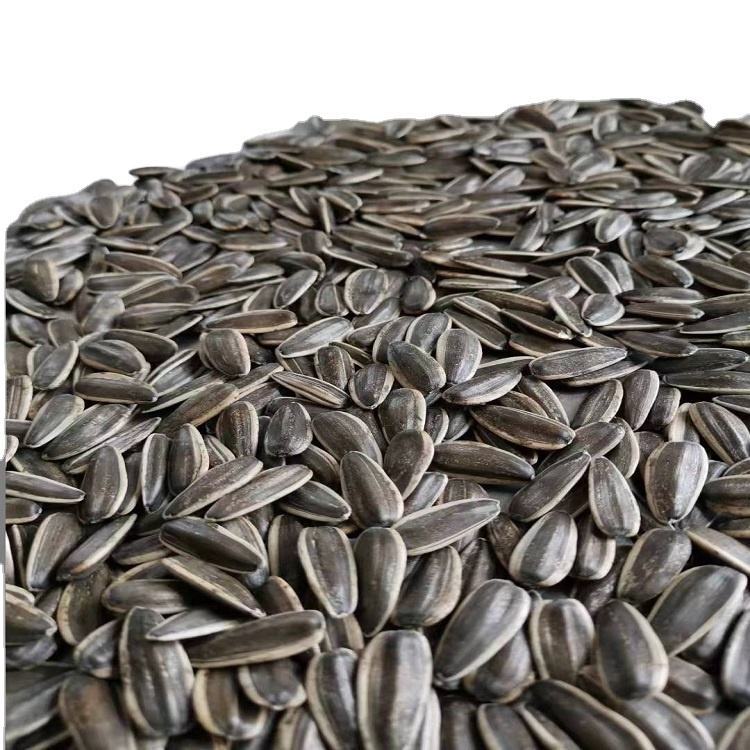 Sunflower Seeds