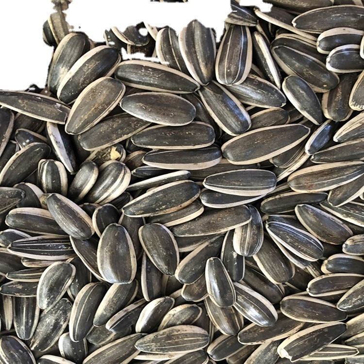 Sunflower Seeds - Color: Black