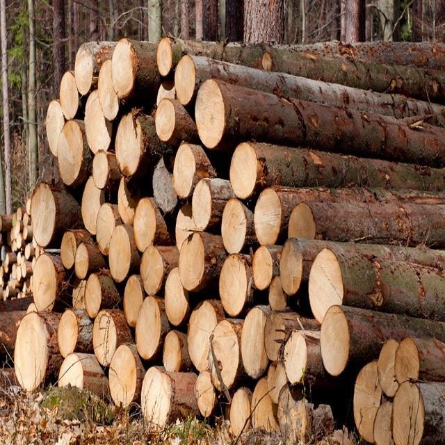 Timber Wood Logs