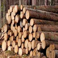 Timber Wood Logs - Feature: Easy To Install