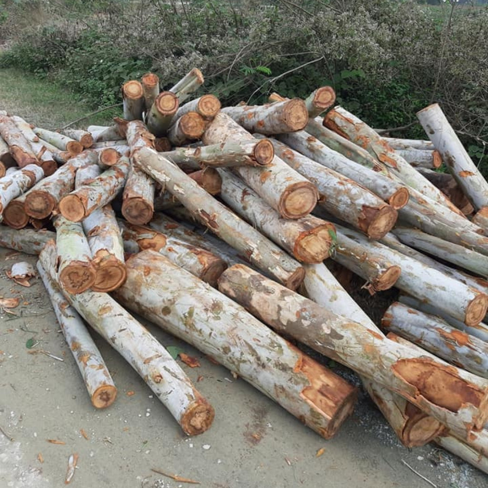 Timber Wood Logs - Feature: Easy To Install