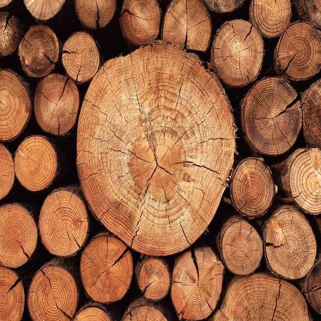 Timber Wood Logs - Feature: Easy To Install