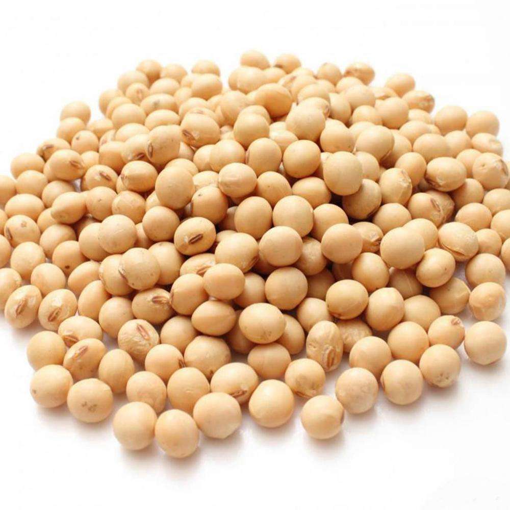 Soybean Seeds