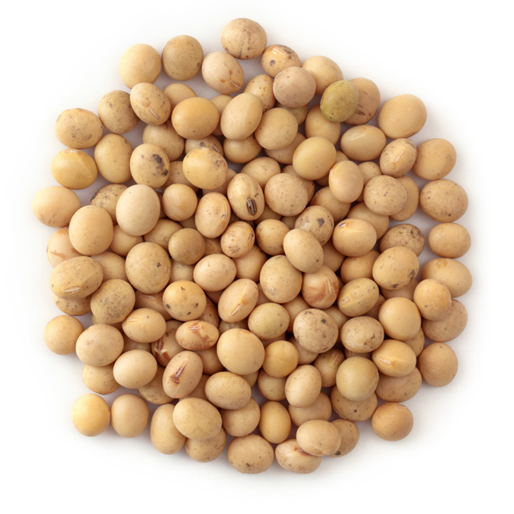 Soybean Seeds - Cultivation Type: Organic