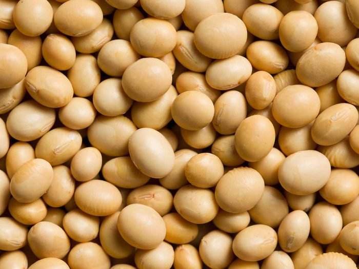 Soybean Seeds - Cultivation Type: Organic