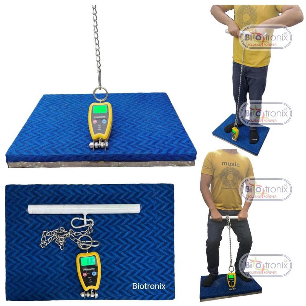 Professional Strength Testing Equipment-Back Leg Chest Dynamometer