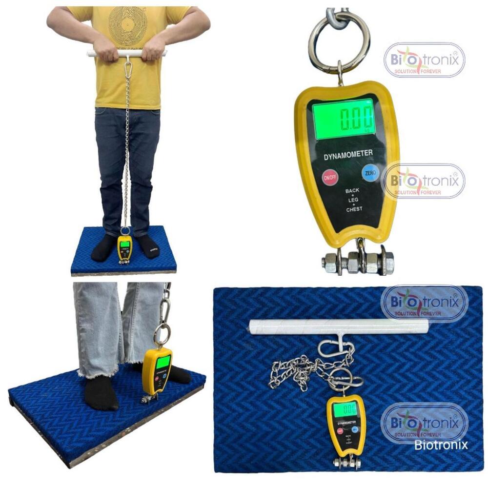 Professional Strength Testing Equipment-Back Leg Chest Dynamometer