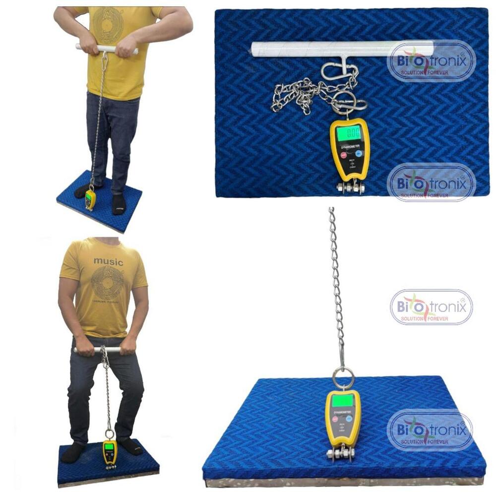 Professional Strength Testing Equipment-Back Leg Chest Dynamometer