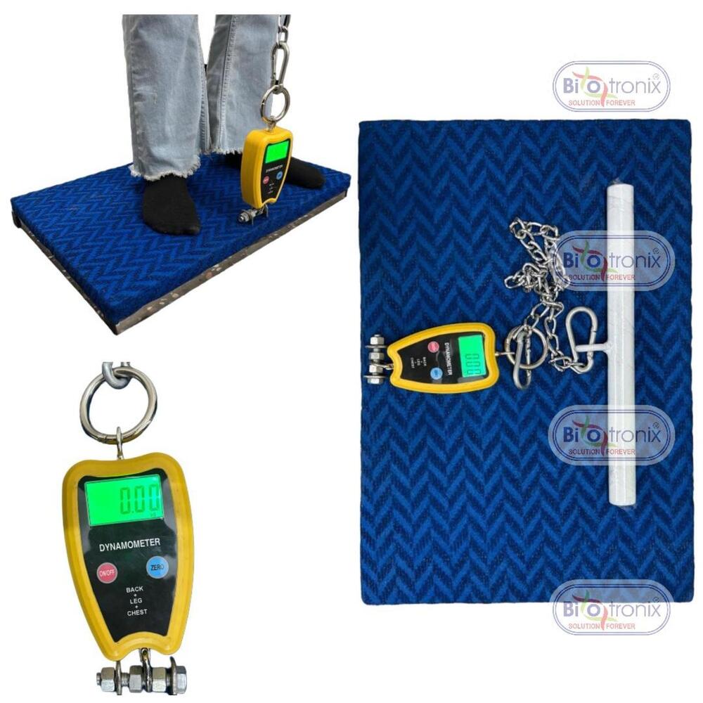 Back Leg Chest Dynamometer for Objective Muscle Power Assessment