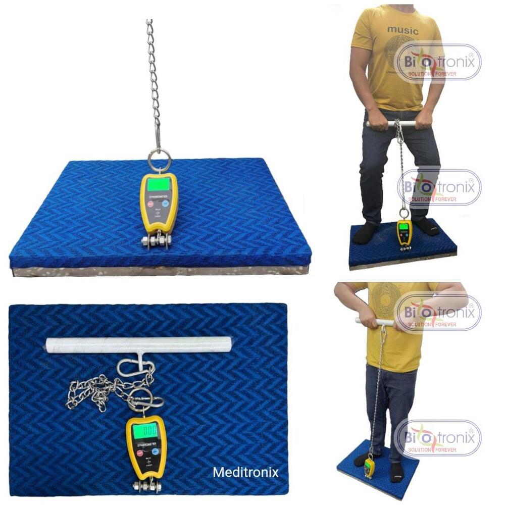 Back Leg Chest Dynamometer for Objective Muscle Power Assessment