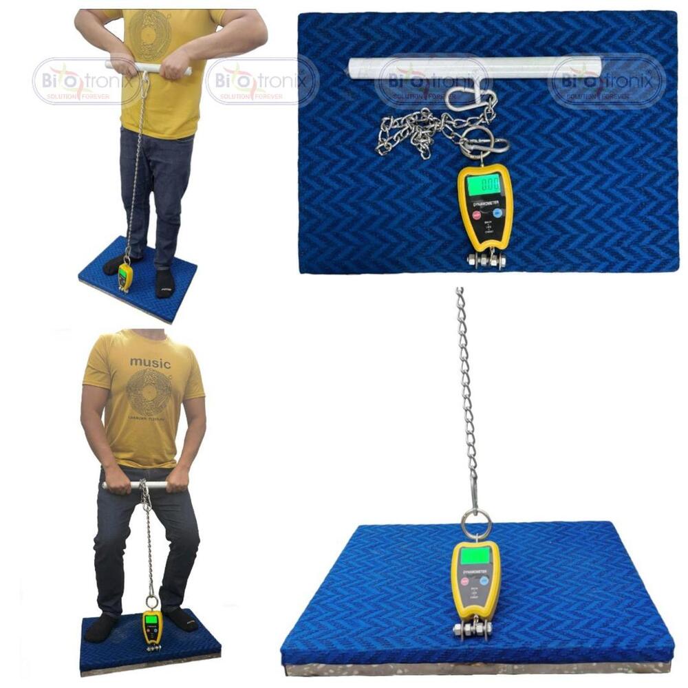 Physiotherapy Strength Evaluation Tool A Back, Leg & Chest Dynamometer - Accuracy: Occupational Health Physical Demand Assessment Equipment Mg