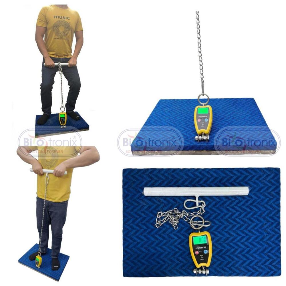 Reliable Back, Leg and Chest Dynamometer for Daily Clinical Use