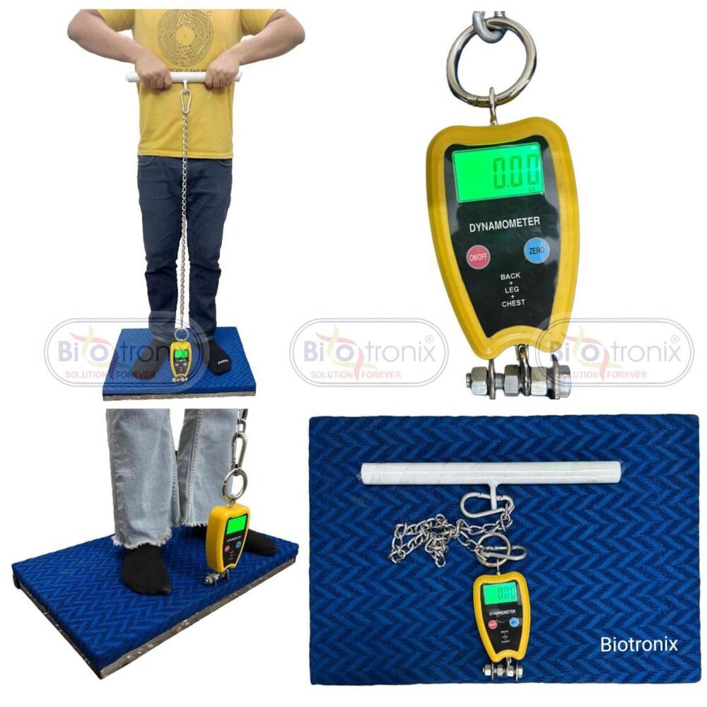 Reliable Back, Leg and Chest Dynamometer for Daily Clinical Use