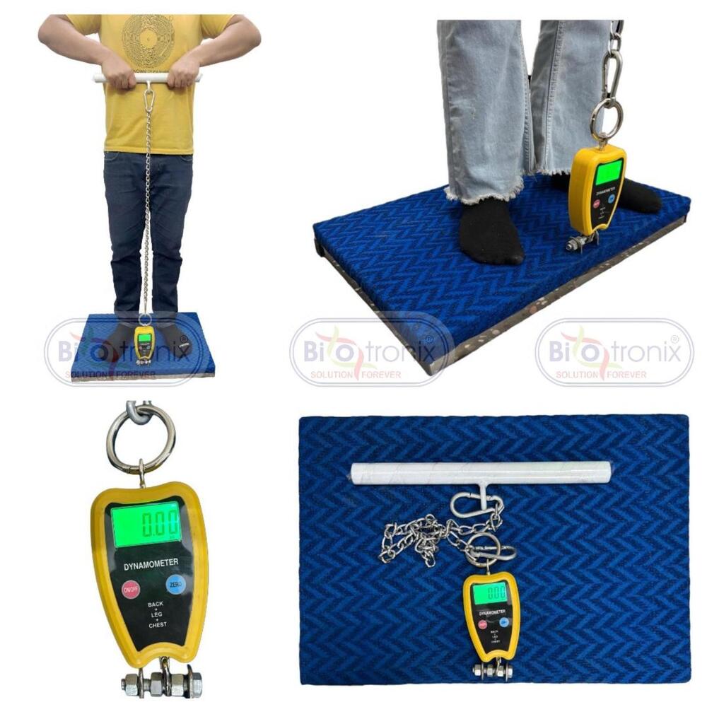 Back Leg Chest Strength Testing System for Rehab Professionals