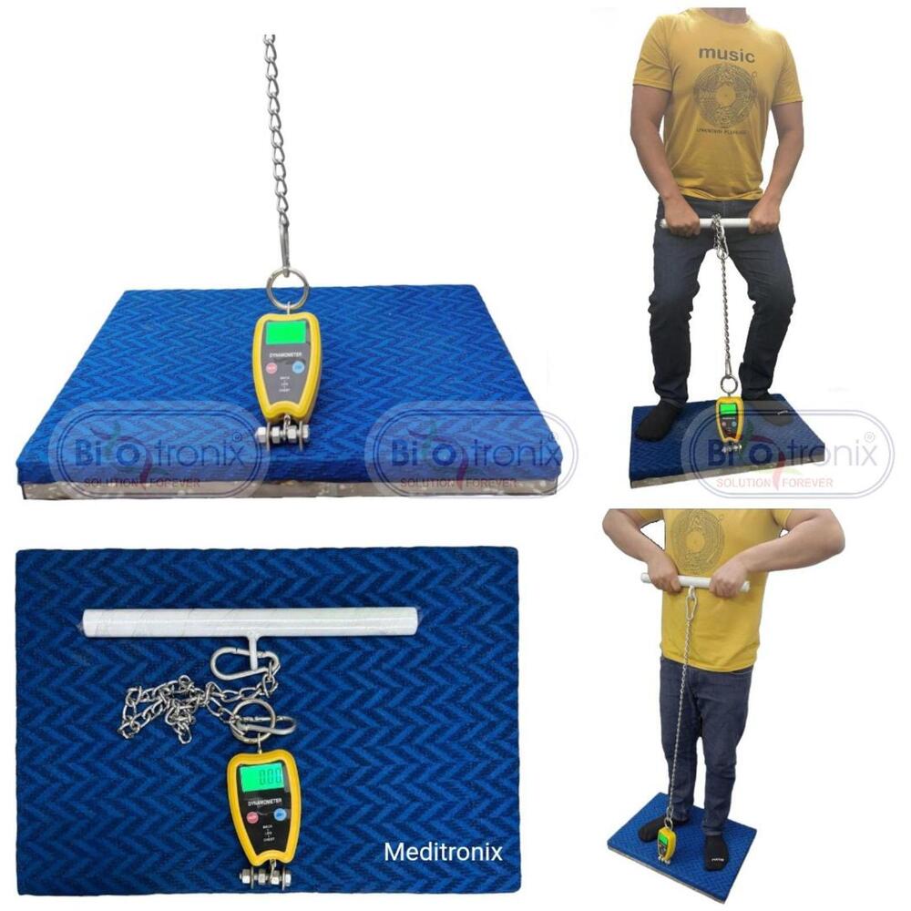 Back Leg Chest Strength Testing System for Rehab Professionals