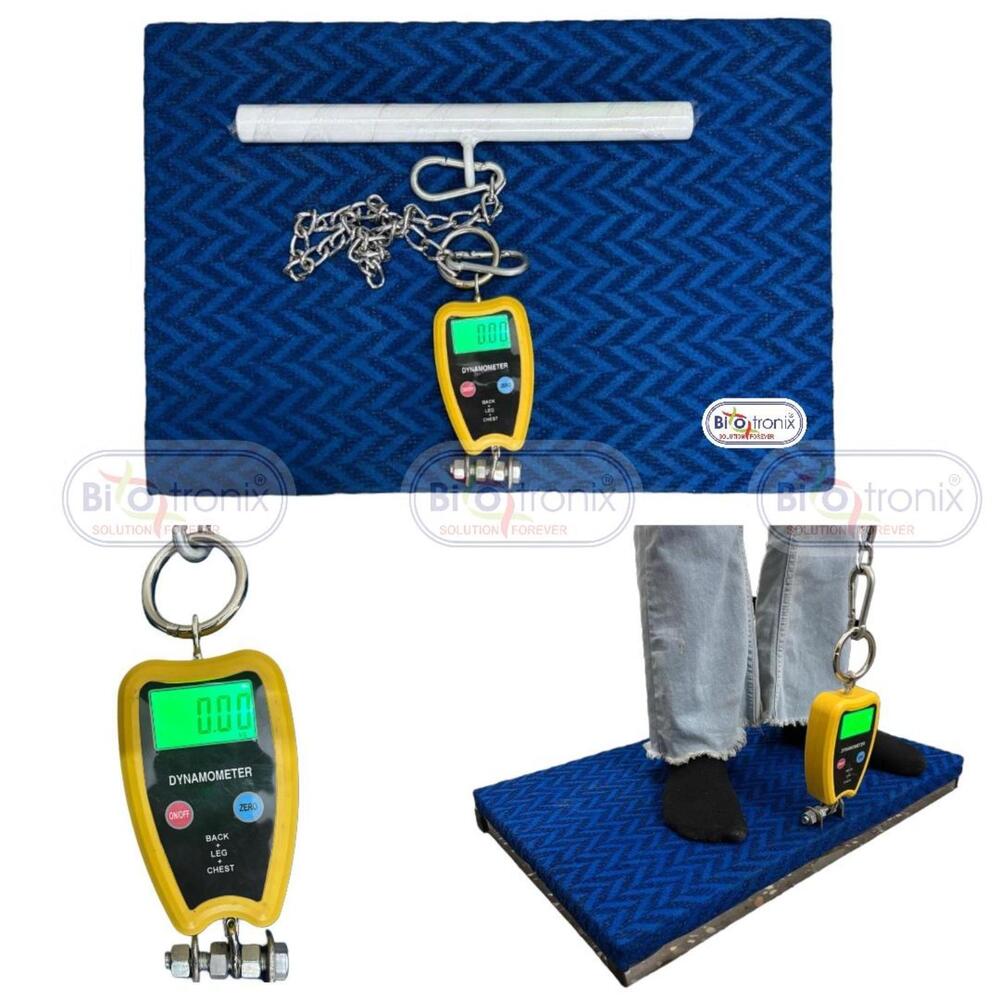 Orthopedic & Sports Back, Leg And Chest Muscle Testing Dynamometer at ...