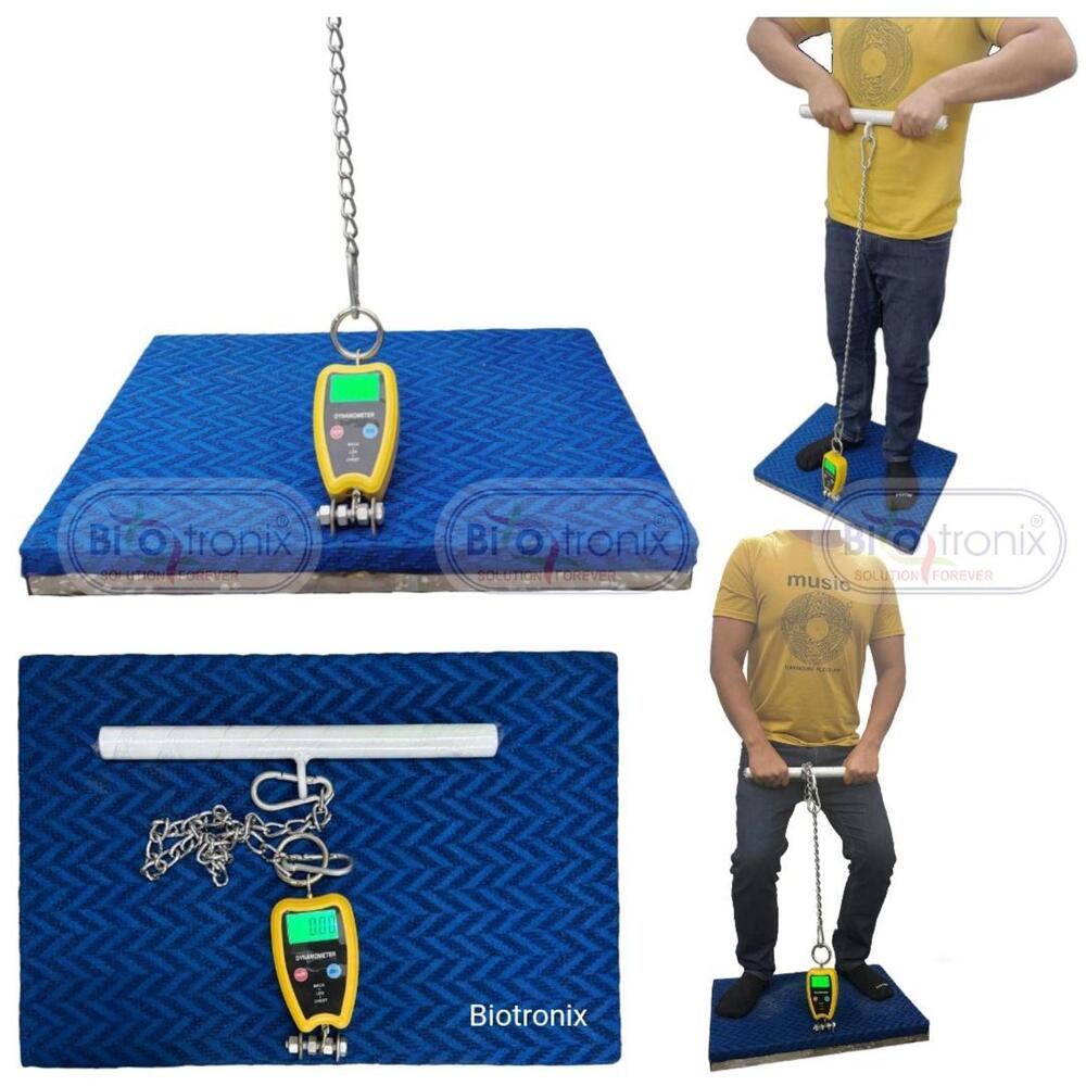 Orthopedic & Sports Back, Leg and Chest Muscle Testing Dynamometer
