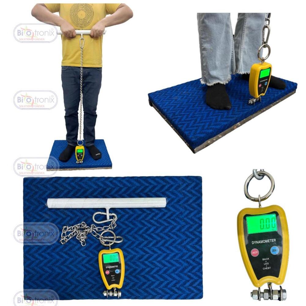 Back, Leg And Chest Dynamometer For Functional Capacity Evaluation - Age Group: Adults