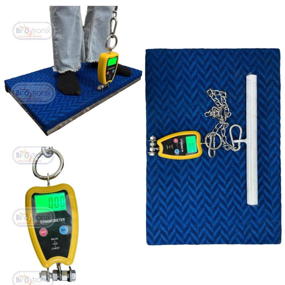 Back, Leg And Chest Dynamometer For Functional Capacity Evaluation - Age Group: Adults