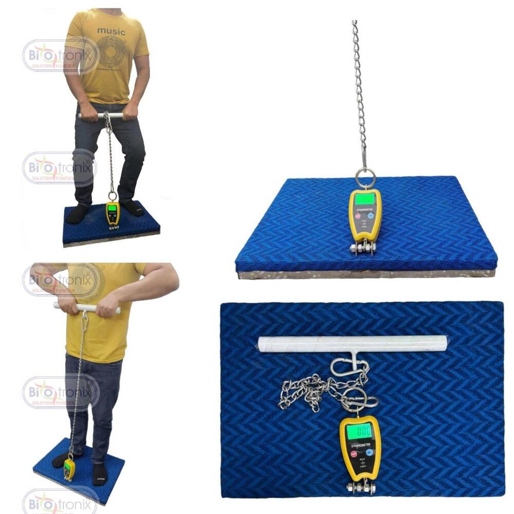 Compact & Durable Back Leg Chest Dynamometer for Clinics and Gyms