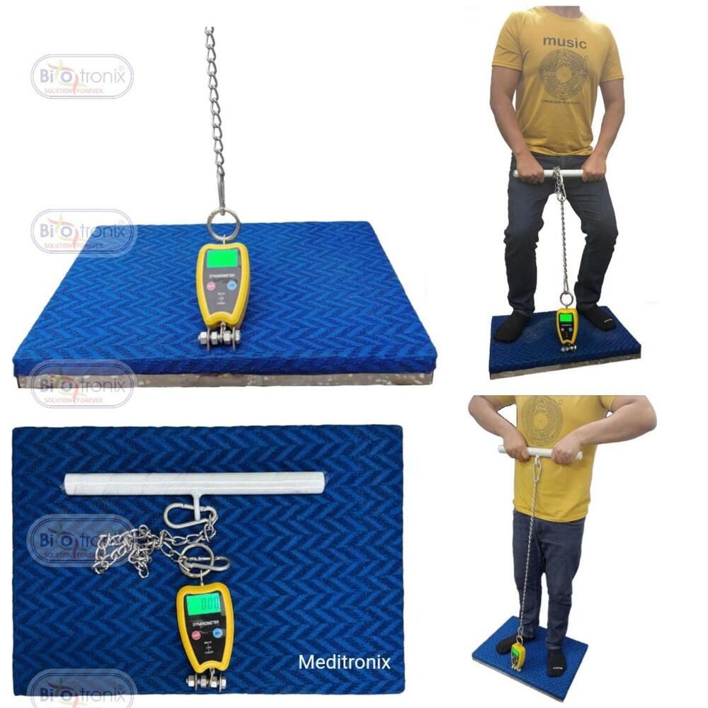 Compact & Durable Back Leg Chest Dynamometer for Clinics and Gyms