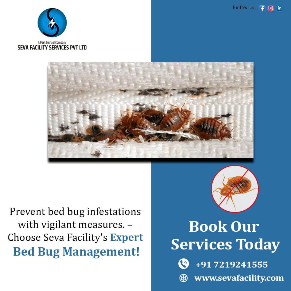 Bed Bugs Pest Control Services