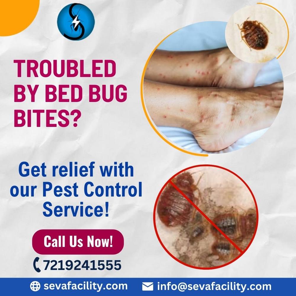 Bed Bugs Pest Control Services