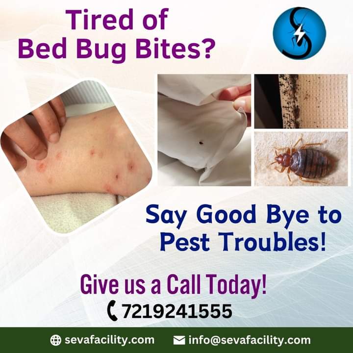 Bed Bugs Pest Control Services