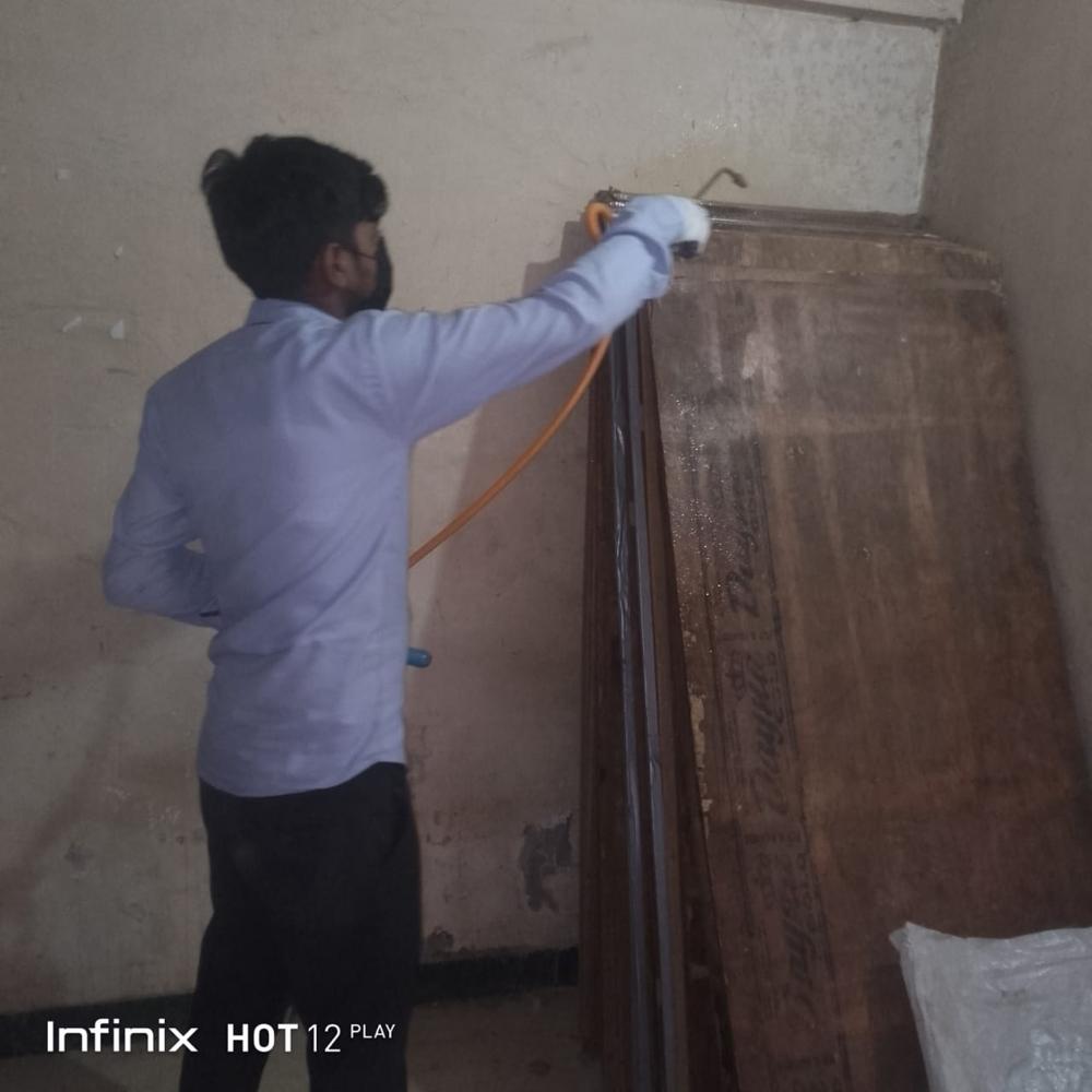 Bed Bugs Pest Control Services