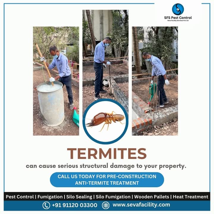 Anti Termite Soil Treatment Services