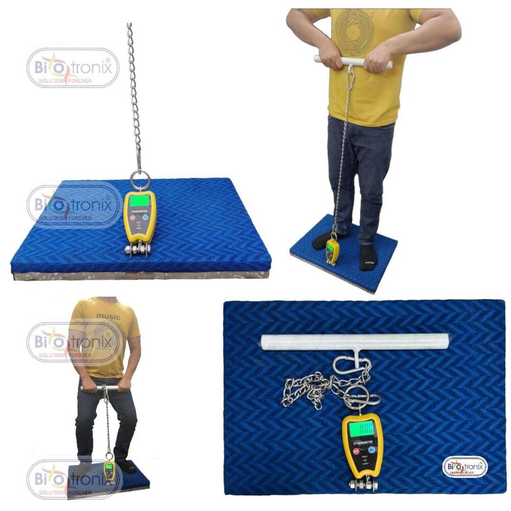 Back, Leg and Chest Strength Assessment Device for Rehabilitation