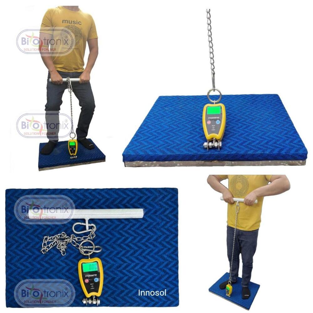 Back, Leg and Chest Strength Assessment Device for Rehabilitation