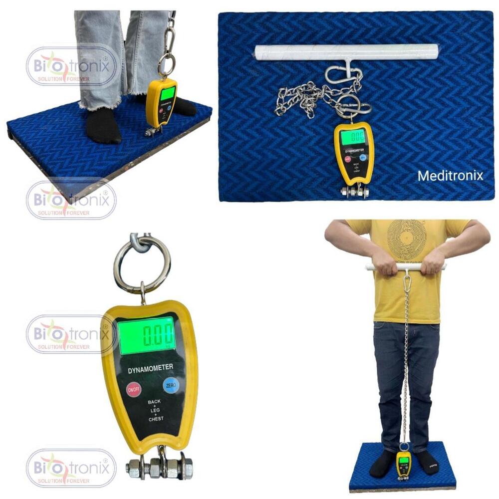 Back, Leg and Chest Strength Assessment Device for Rehabilitation