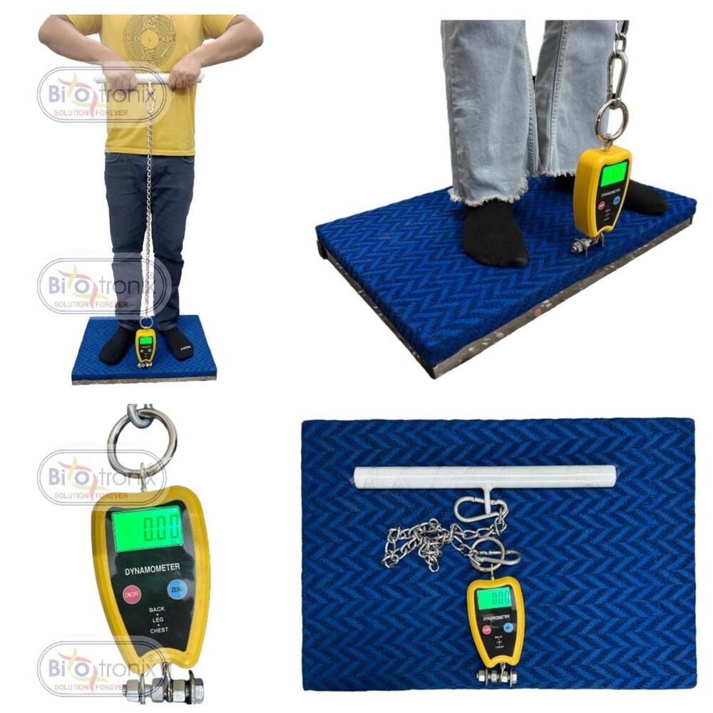 Back, Leg and Chest Strength Assessment Device for Rehabilitation