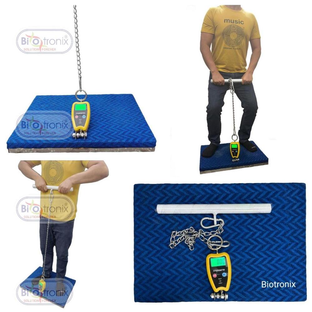 Physiotherapy Muscle Testing Dynamometer for Back, Legs & Chest