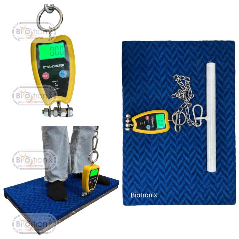 Physiotherapy Muscle Testing Dynamometer for Back, Legs & Chest