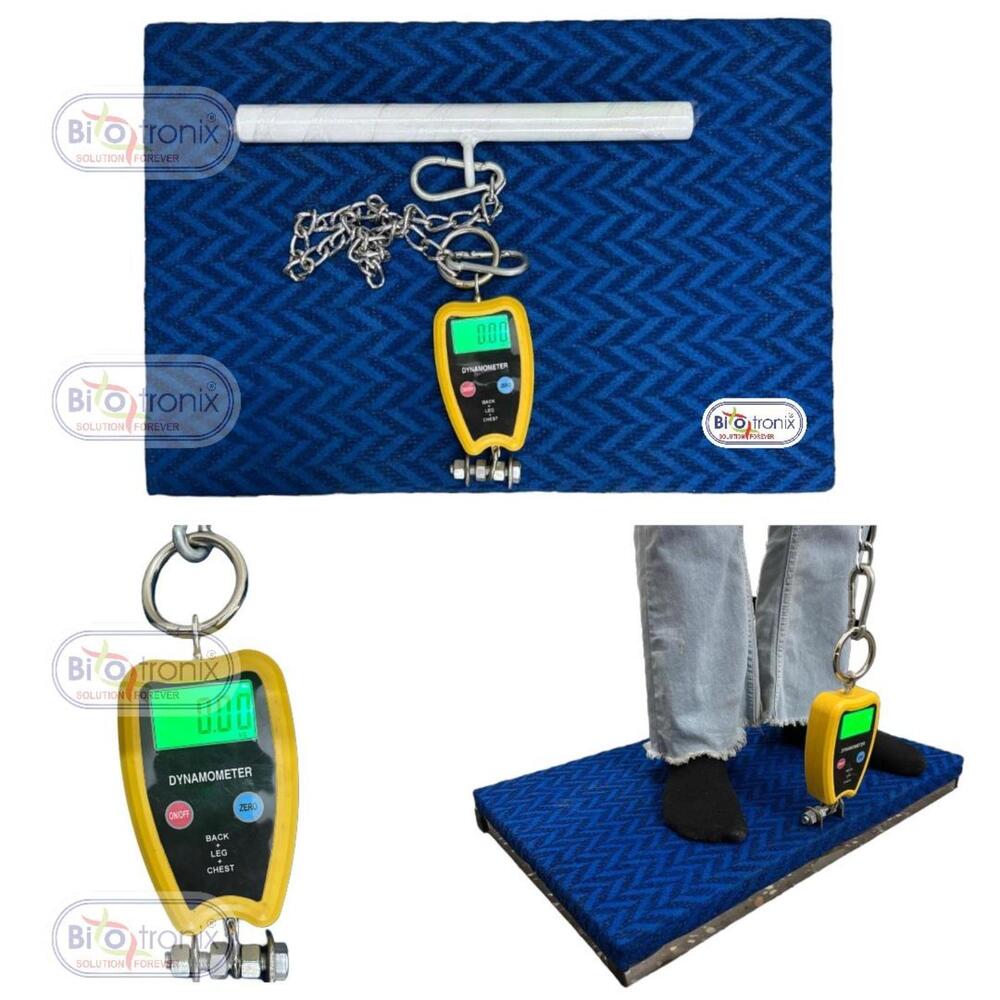 Physiotherapy Muscle Testing Dynamometer for Back, Legs & Chest