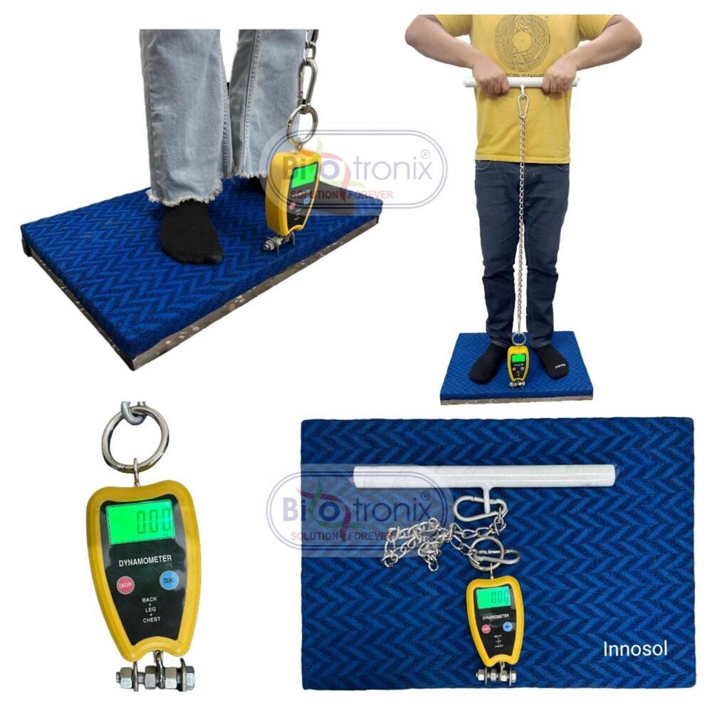 Back Leg Chest Dynamometer for Post-Injury Strength Assessment