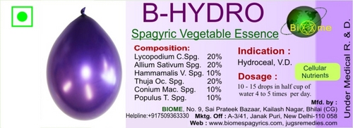 B Hydro