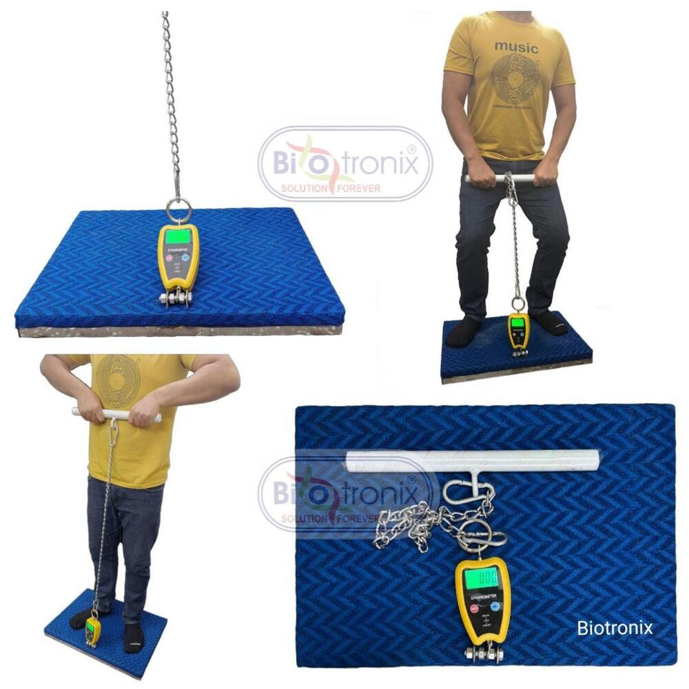 Back Leg Chest Dynamometer for Post-Injury Strength Assessment