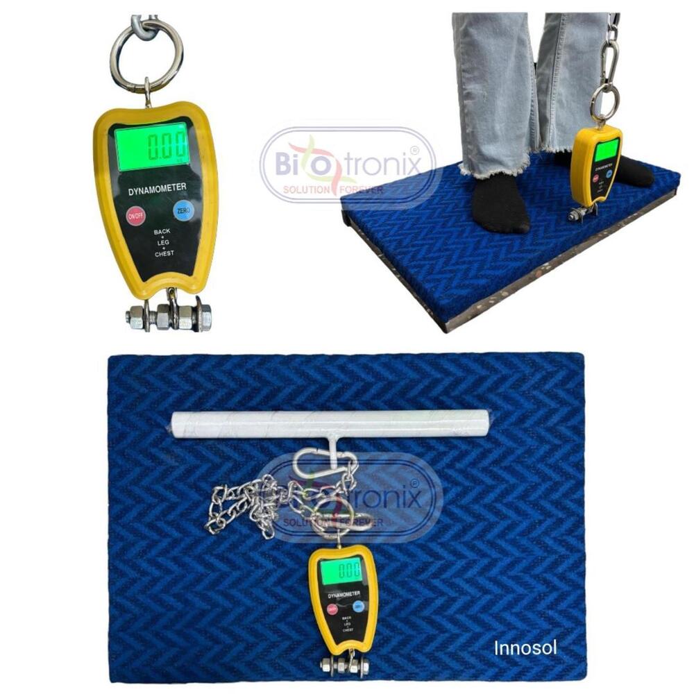 Back Leg Chest Dynamometer for Post-Injury Strength Assessment
