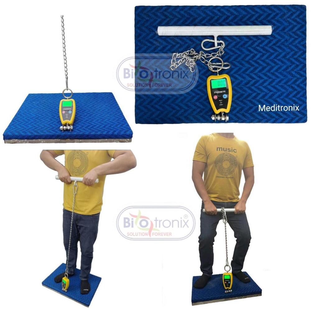 Back Leg Chest Dynamometer for Post-Injury Strength Assessment