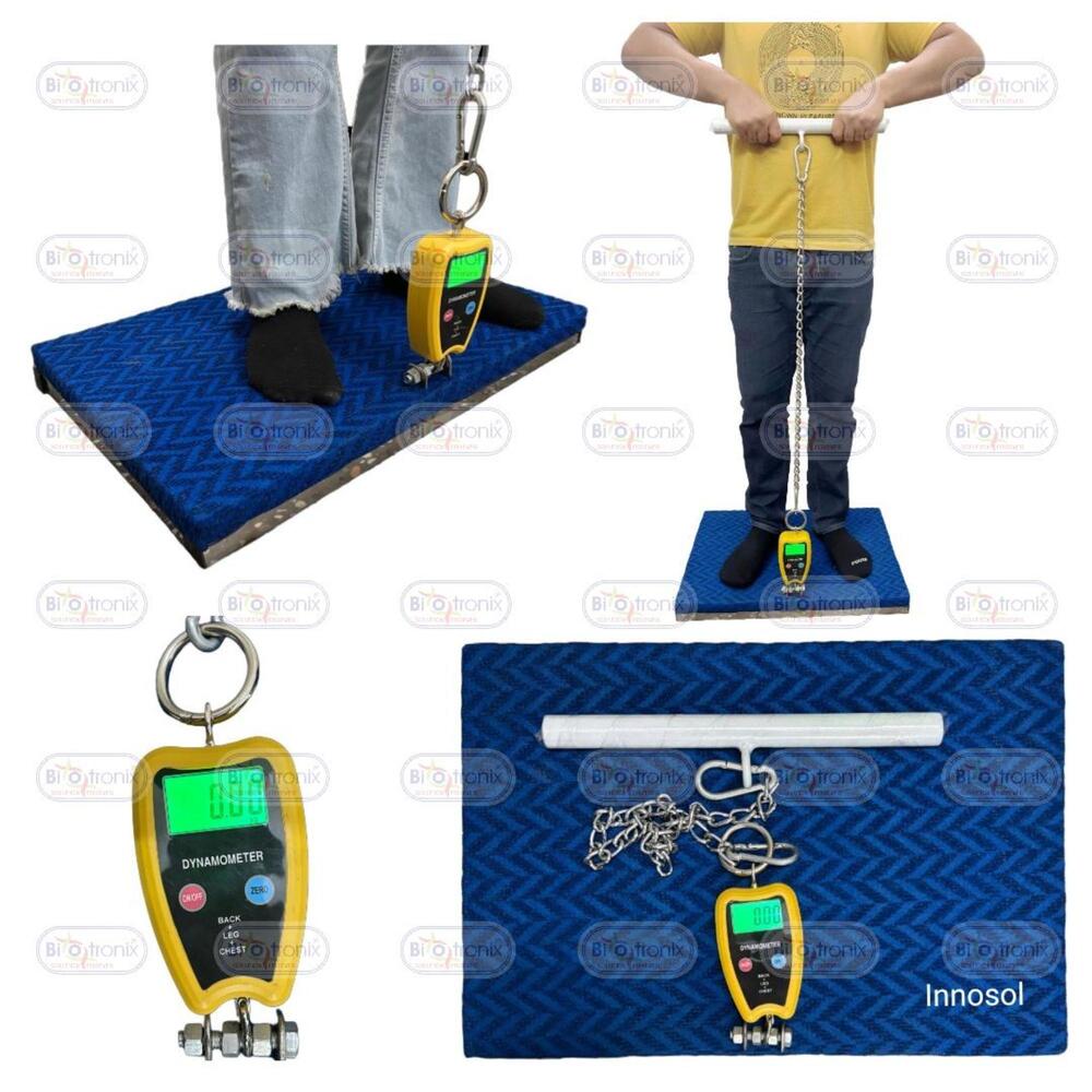 Back, Leg and Chest Dynamometer for Scientific Muscle Strength Testing